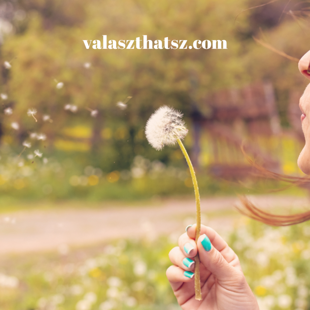 Valaszthatsz.com (5)