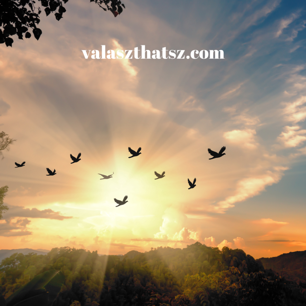 Valaszthatsz.com (1)