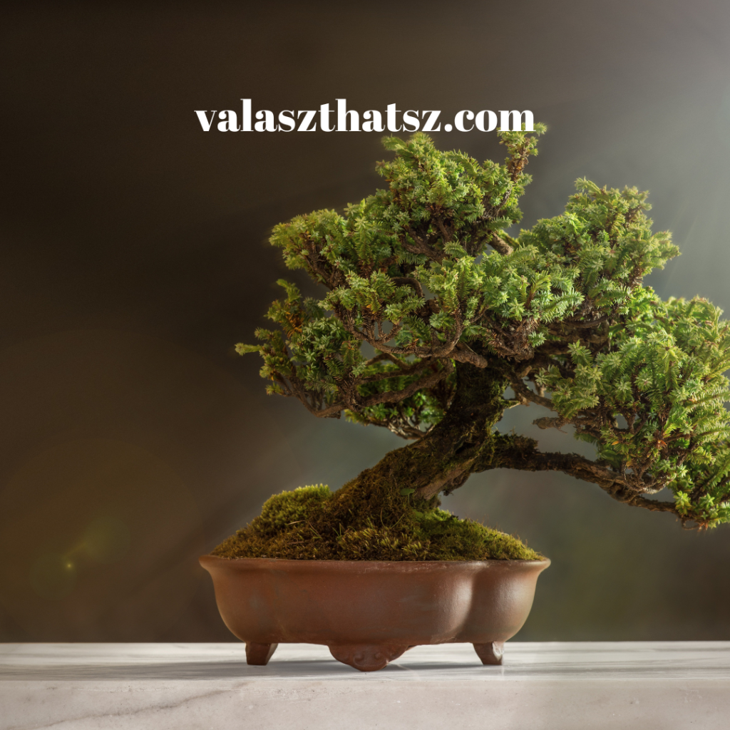 Valaszthatsz.com (7)