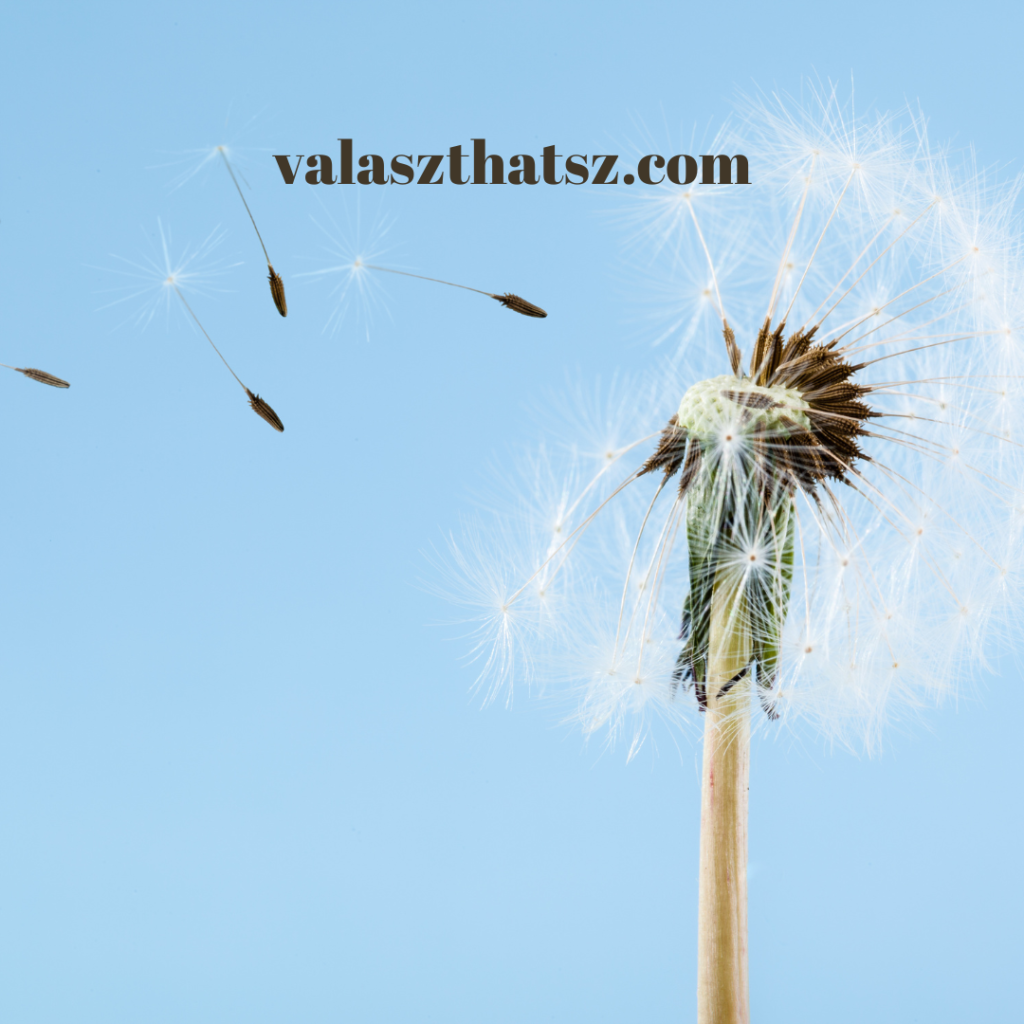 Valaszthatsz.com (9)