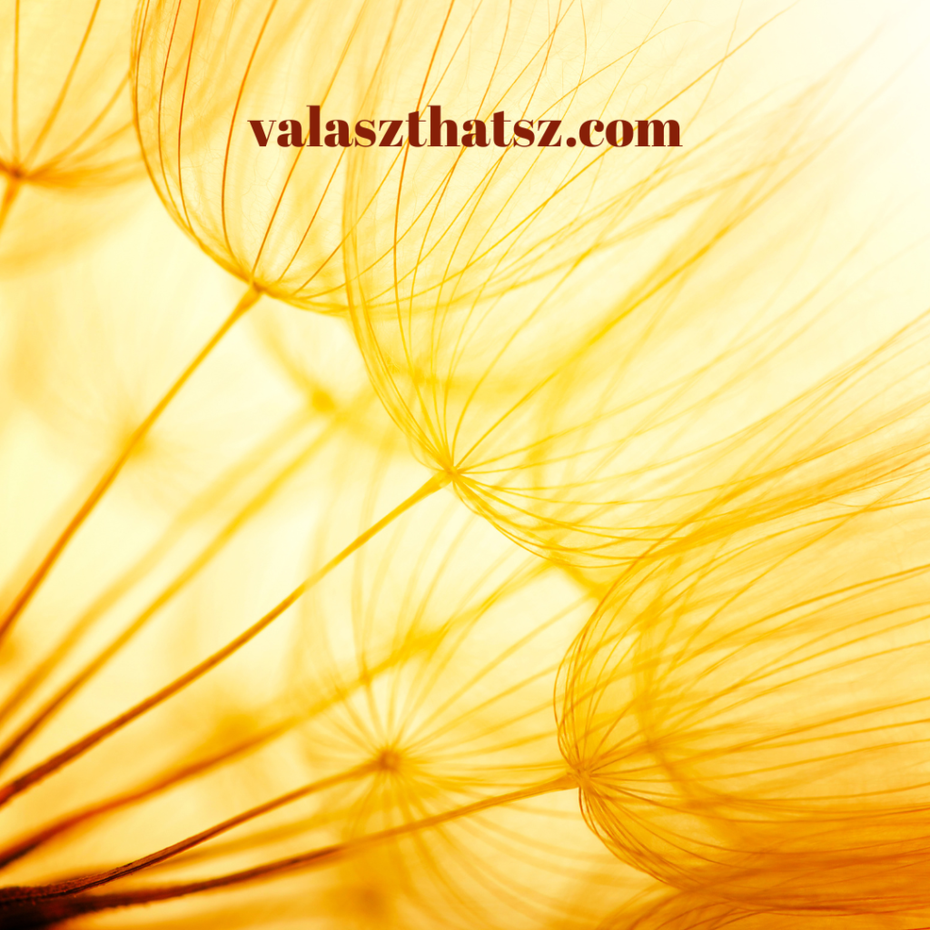 Valaszthatsz.com (4)