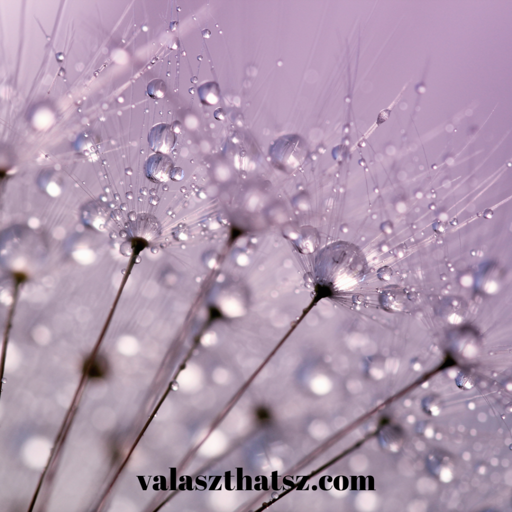 Valaszthatsz.com (8)