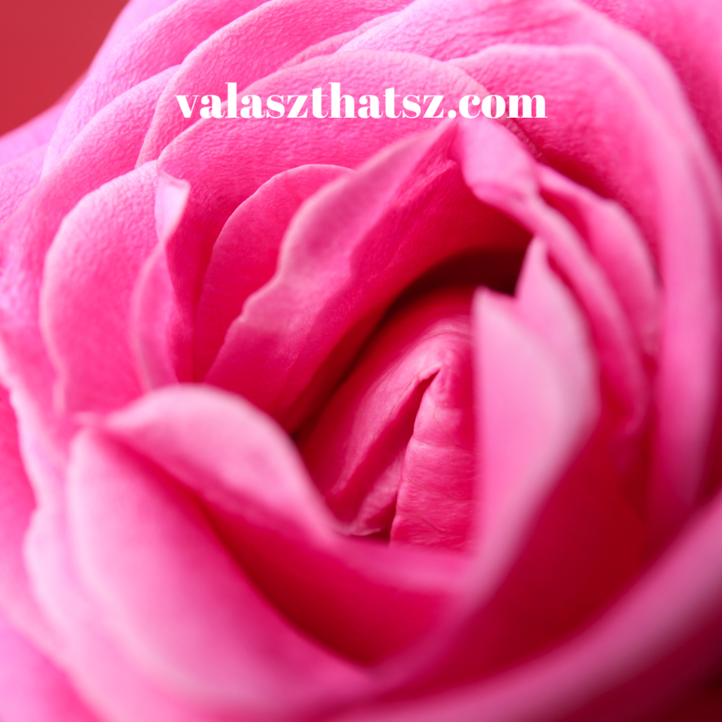 Valaszthatsz.com (10)