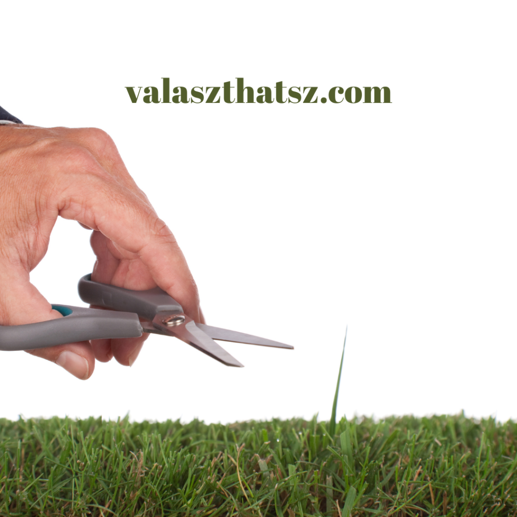 Valaszthatsz.com (16)