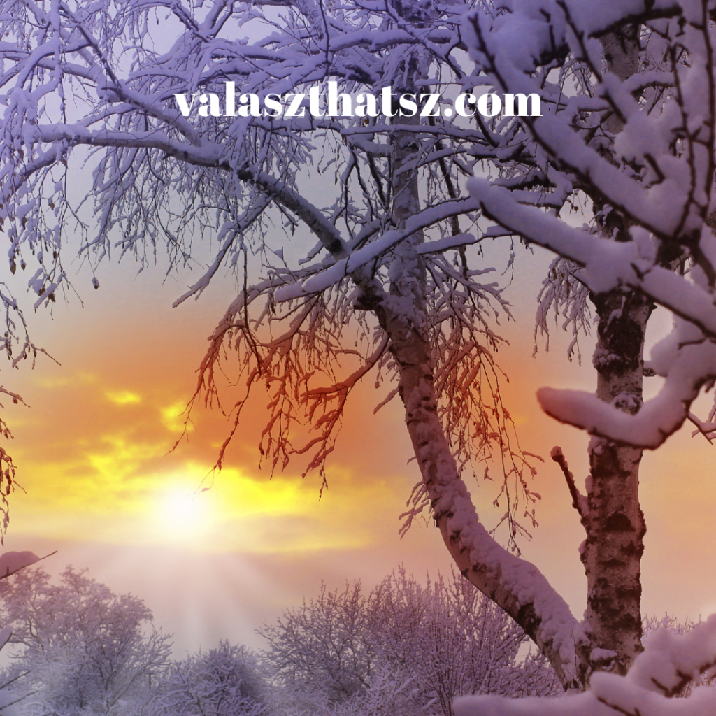 Valaszthatsz.com (19)