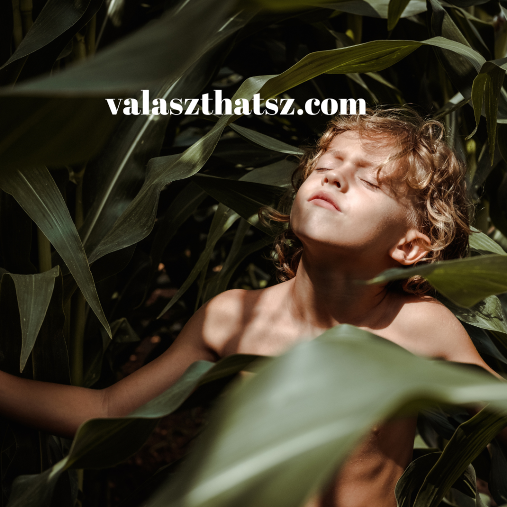 Valaszthatsz.com (61)