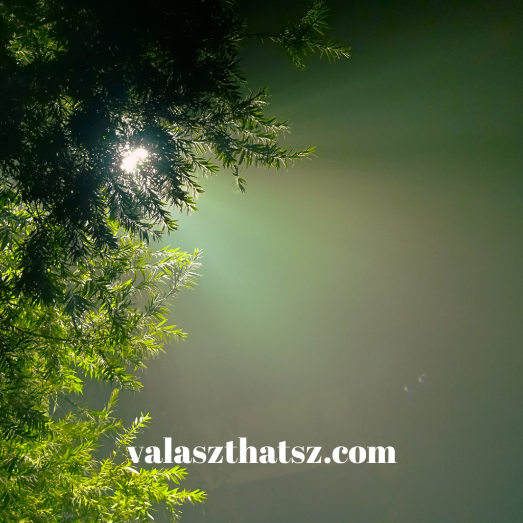 Valaszthatsz.com (71)