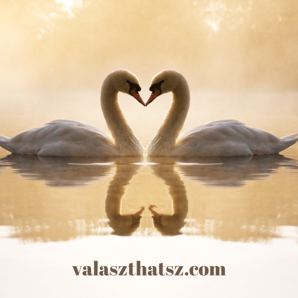 Valaszthatsz.com (12)