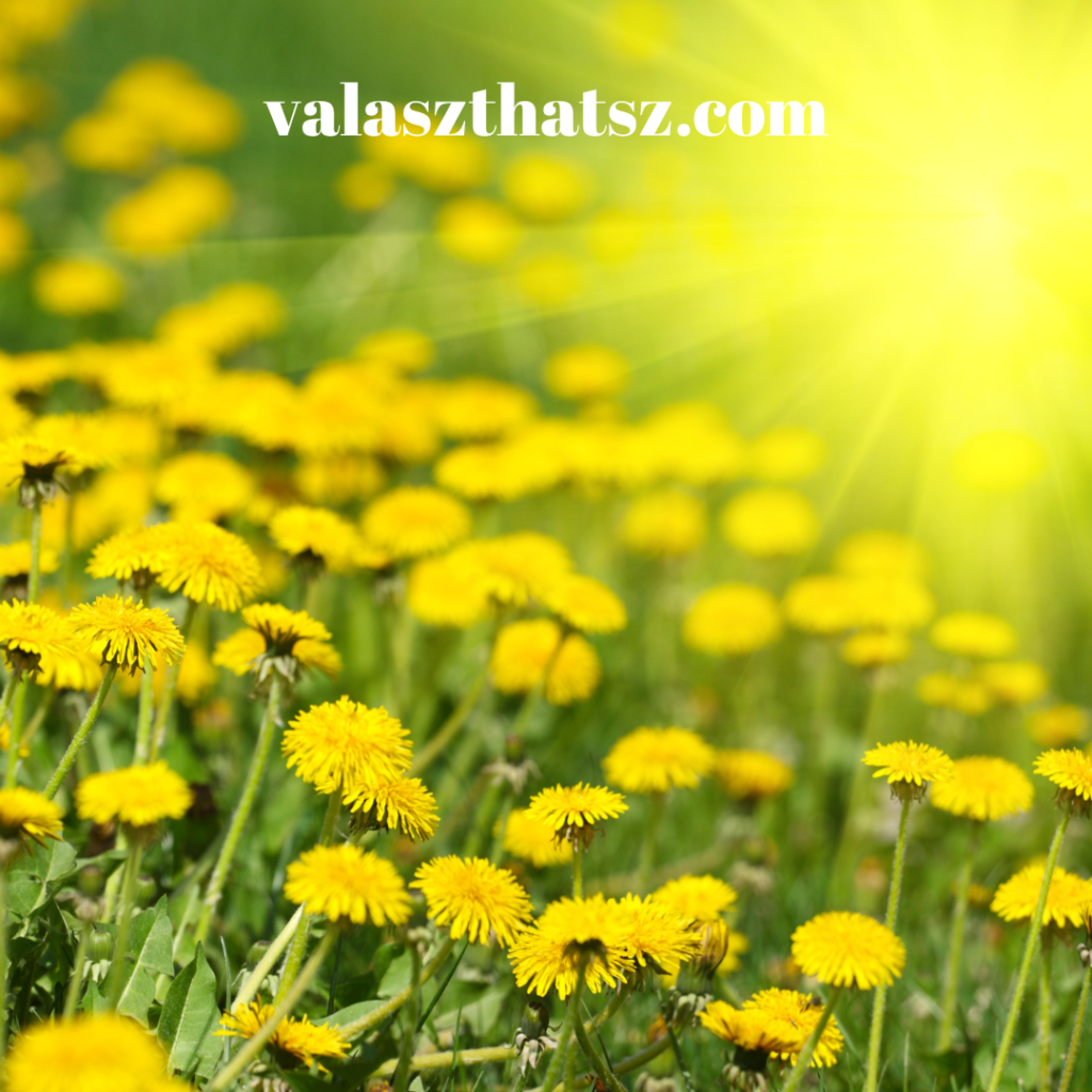 Valaszthatsz.com (34)