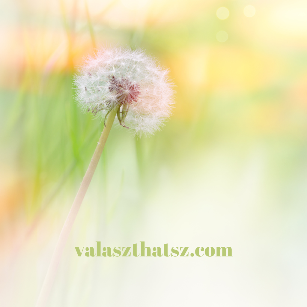 Valaszthatsz.com (8)