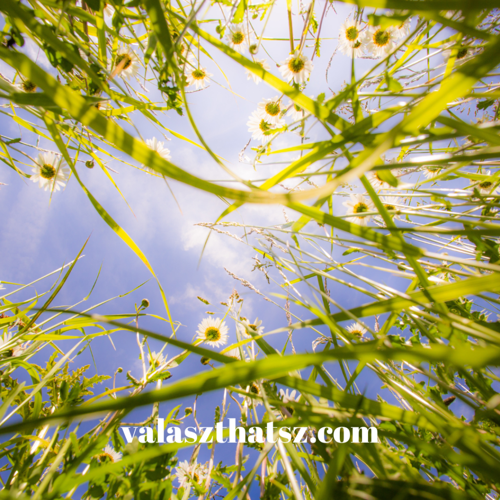 Valaszthatsz.com (25)