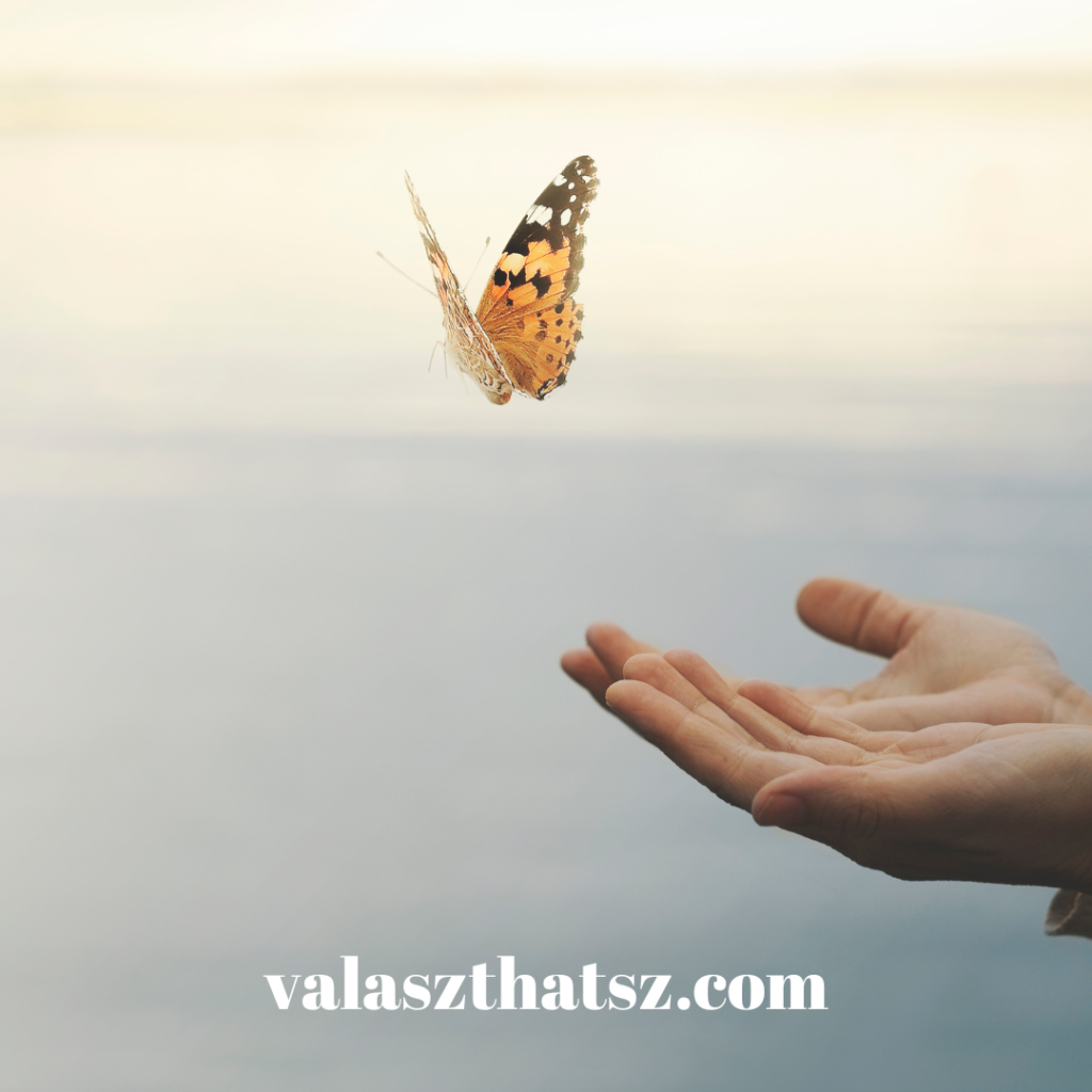 Valaszthatsz.com (28)