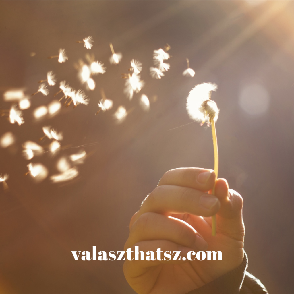 Valaszthatsz.com (30)