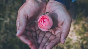 Gift Blog