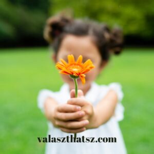 Valaszthatsz.com (80)