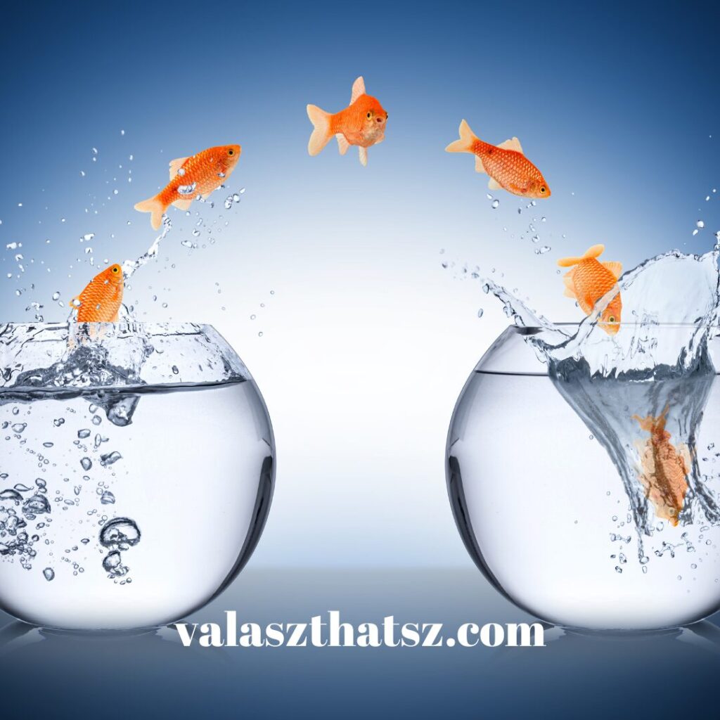 Valaszthatsz.com (92)